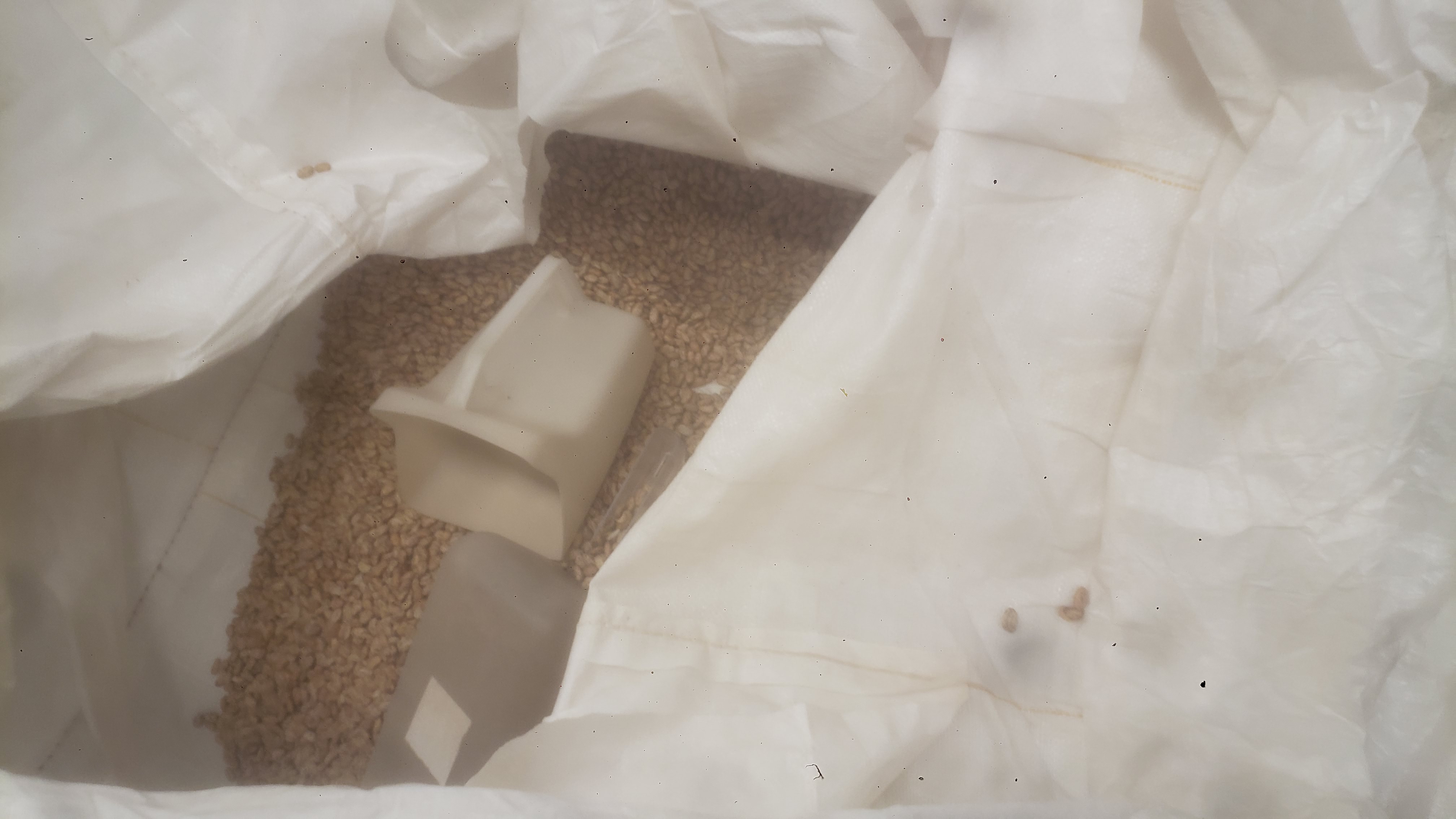 Bulk bag of pinto beans.